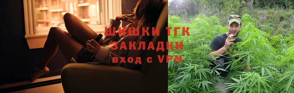 шишки Туринск