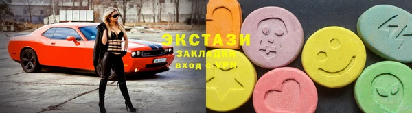 шишки Туринск