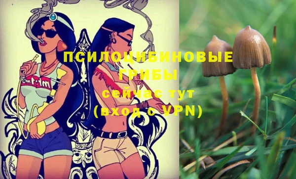 шишки Туринск