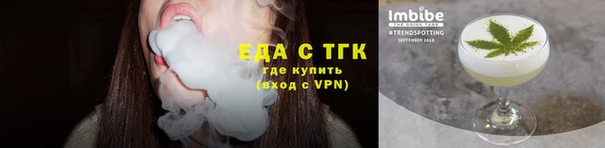 шишки Туринск