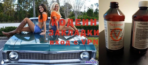 шишки Туринск