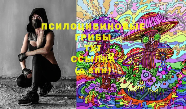 шишки Туринск