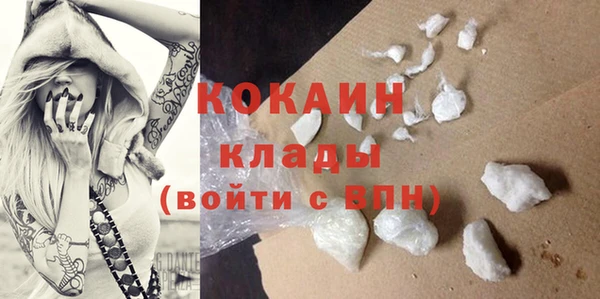 шишки Туринск