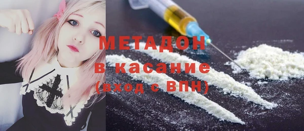 шишки Туринск