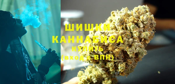 шишки Туринск
