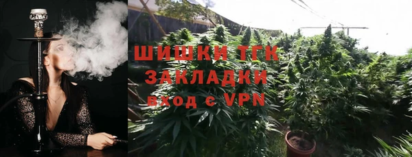 шишки Туринск