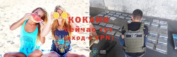 шишки Туринск