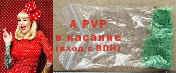 шишки Туринск
